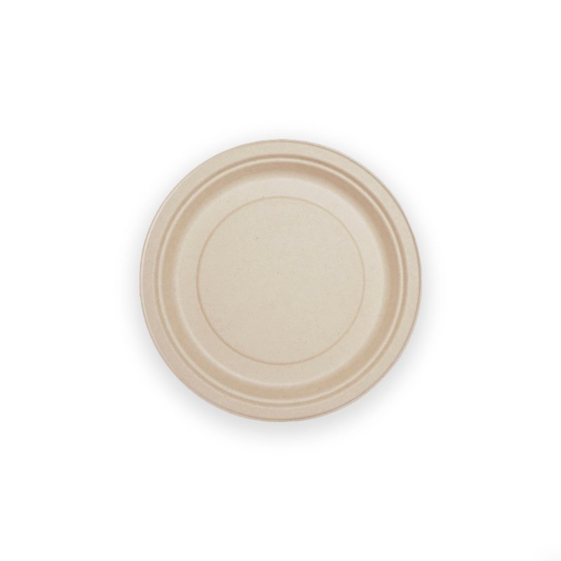 10 Inch Plate