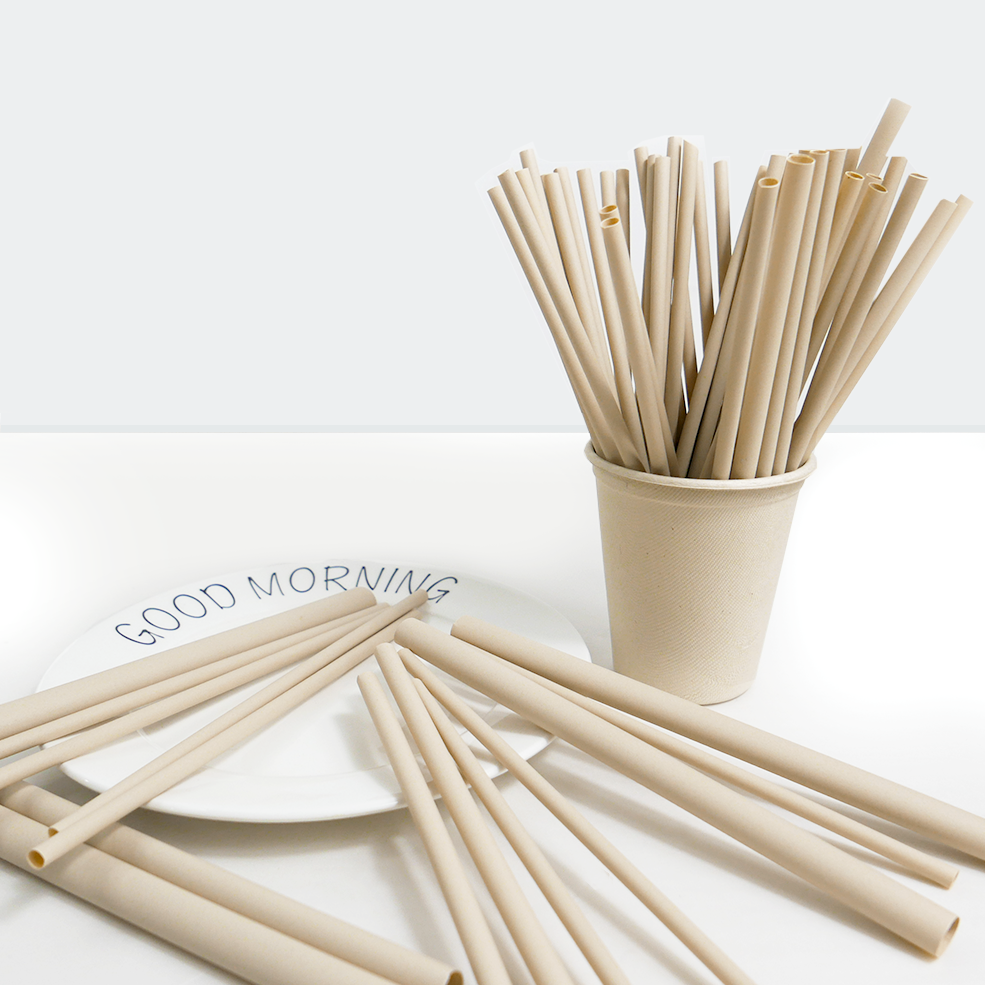 Bamboo Fiber Straw - Image 4
