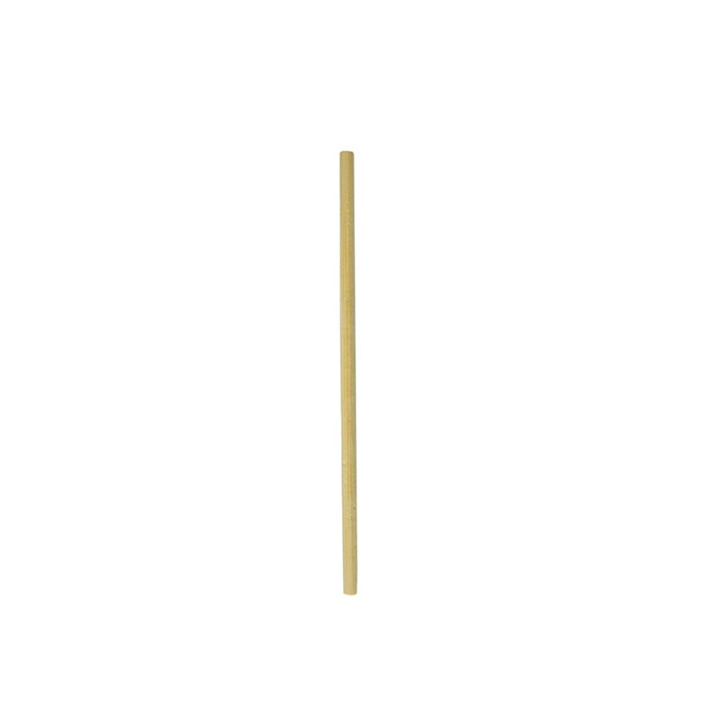 Bamboo Straw