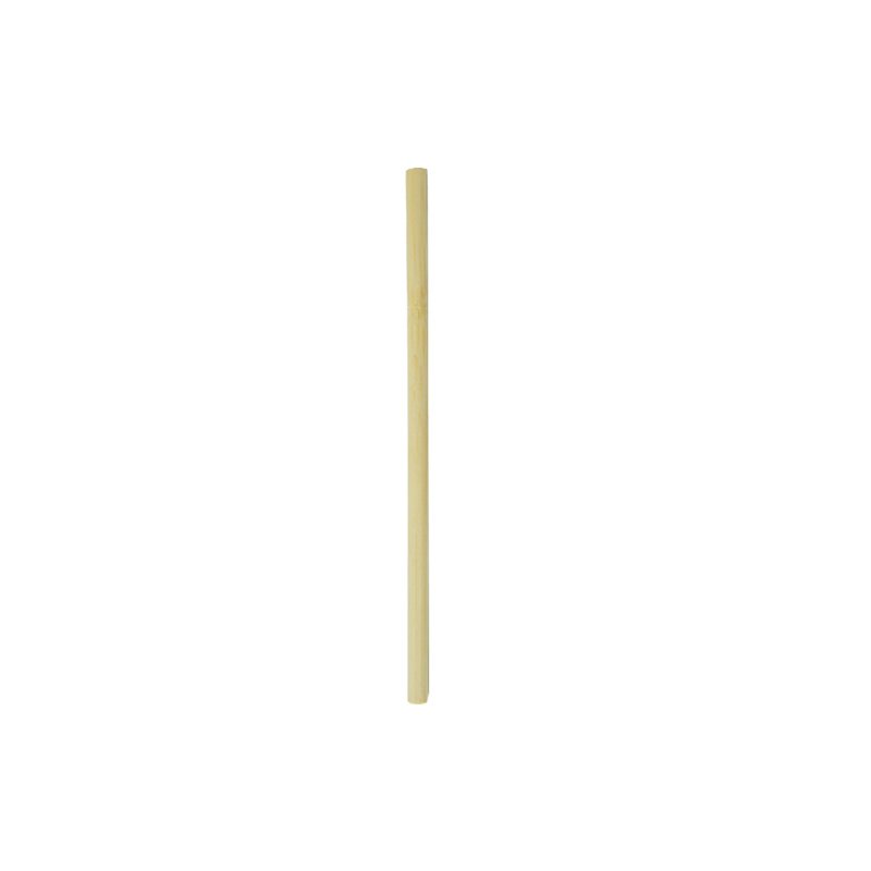 Bamboo Straw